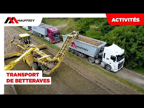 Transport betteraves sucrières - Activités Mauffrey