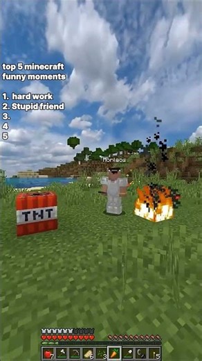 Minecraft Funny Moments