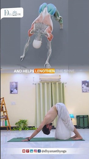 Strengthen Your Abdomen & Back Leg Muscles | Yoga for Core Strength, Stability & Flexibility