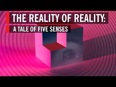 The Reality of Reality: A Tale of Five Senses