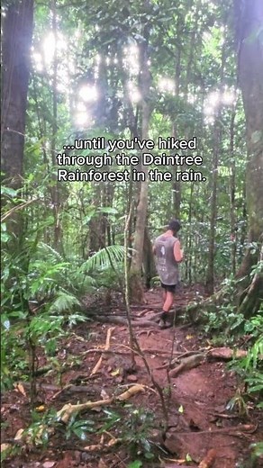 Daintree Rainforest hiking in the rain - Lap of Australia #rain #hiking #adventure