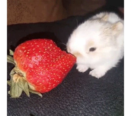 “morrisey is literally me” whole time i’m sponge #thesmiths #morrisey #spongebob #70s #targetaudience