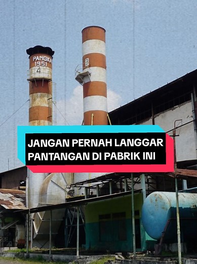 Jangan Langgar Aturan di Pabrik Gula: Film Horor Menegangkan