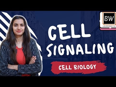 Cell Signaling and Types of Cell Signaling | Cell Communication