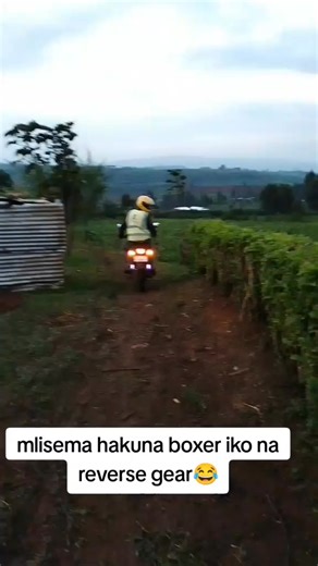 Boxer Engine Rebuilds on Reels