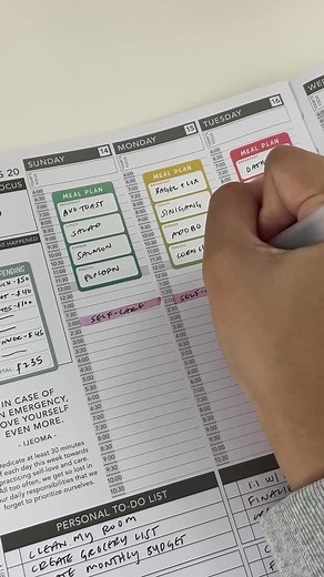 the limit does not exist 🫶🏽 #plannerinspiration #passionplanner #BigInkEnergy