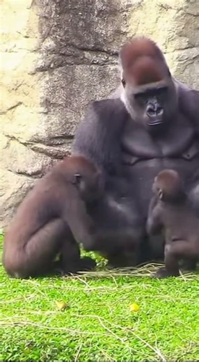 "You have an itchy skin" proceeds to delete him