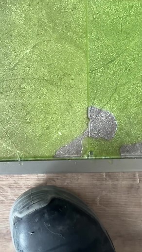 The Ballarat cowboys are at it again, causing chaos in people's lives. These so-called builders need to be held accountable! Let’s put an end to this! #TikTokInspector #SiteInspections #BuilderIssues #HomeInspections #NewHomes #Waterproofing #Roofing #Leaks