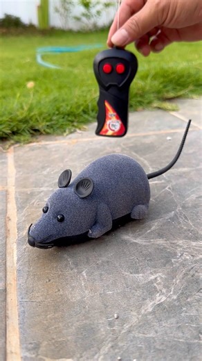 Rc Mouse 🐁 unboxing and testing