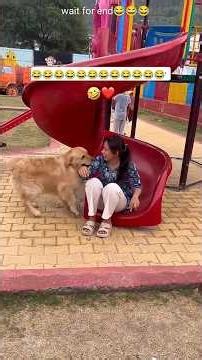 Ultimate Funny Animals Compilation 2026 🤣...#animalshorts #funnyanimals #animallife #anmals