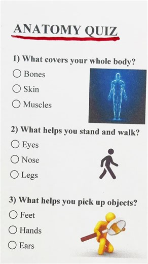 Anatomy Quiz #britain #quizz #quiz