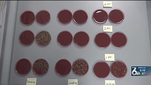 Testing the effectiveness of face masks