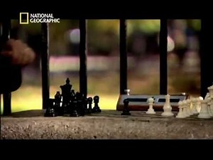 My Brilliant Brain - Top Documentary Films