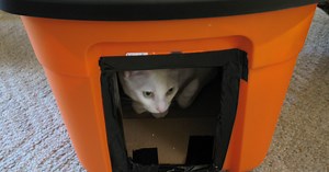 DIY Winter House for Stray Cats