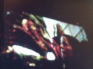 The Lizard's Voice from The Amazing Spider-Man (2012)