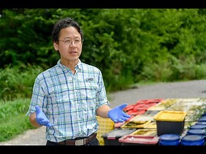 MTSU Outdoor Forensic Facility: The 'animal body farm'