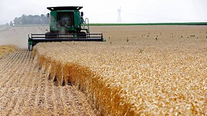 9.7K views · 141 reactions | Swamp Watch: The farm bill | Fox News Video | Facebook