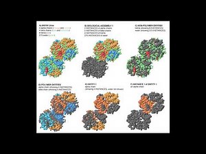 Entry, Entity, Assembly, and Instance