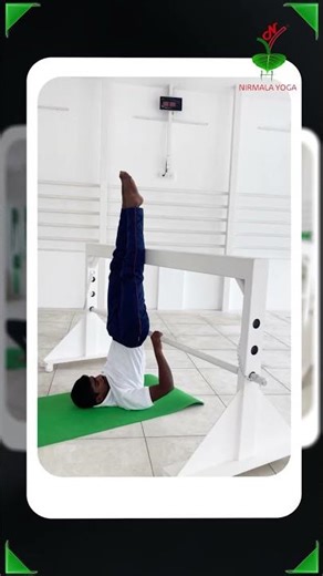 Beginner to Pro: Why Yoga with Trestle works?