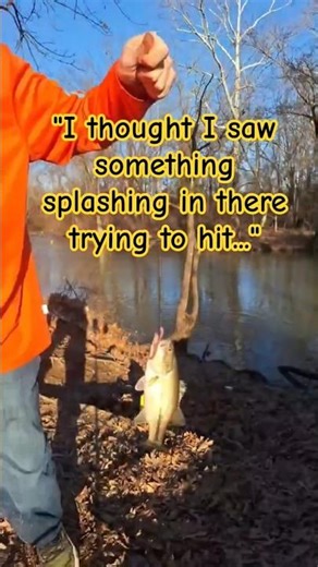 A creek bass pre spawn! It is time! #shorts #fishing #bassfishing