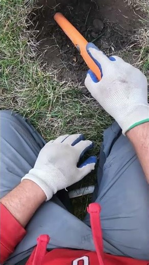 Nokta Legend Finds Penny Next to Huge Nail – Incredible Separation