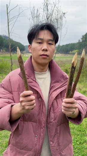野外探险中如何正确的做灶台呢 #技巧 #bushcraft #outdoors #forest #camping #plants #skills #survival #outdoorskills