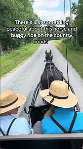 Got to take my wife and son on a peaceful horse and buggy ride through the Amish country ￼