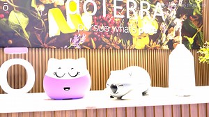 3.3K views · 26 reactions | Which diffuser you like best, 1️⃣Kitty...