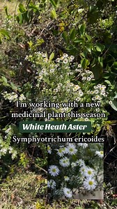 160 reactions · 12 shares | I’m excited to work with the beautiful...