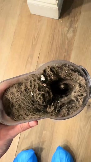 You’re excited for your new deep clean! Those are your favorite! When you are surprised with something you never thought you’d see before! What would you do?🫣•#cleantok #whatwouldyoudo #deepclean #cleaningvideo #cleaning | Clean With Sep