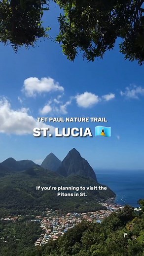 If you're planning to visit the Pitons in St. Lucia 🇱🇨 and want great views of them, without the hassle of a half-day hike, check out the Tet Paul Nature Trail. Here, you'll get a guided 30 minute tour for $10 USD per adult and $5 USD for kids 12 and under. The well maintained path leads up a moderate incline to the best viewing decks overlooking Gros and Petit Piton. 📍 Travel Saint Lucia Tet Paul Nature Trail #StLucia #TravelSaintLucia #SaintLucia #Caribbean #Pitons #StLuciaTravel #StLucia🇱