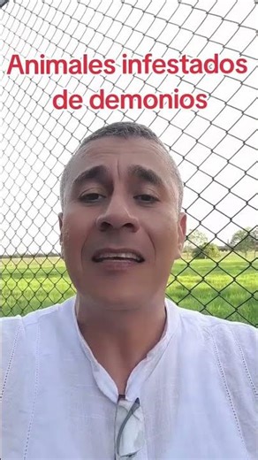 Animals infested with demons