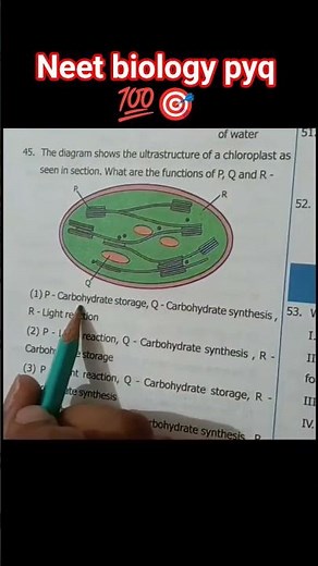 "NEET Biology PYQ | Previous Year Questions with Solutions | NEET 2025 #neetexam #biology #pyq