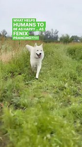 Prancing is my jam. It helps me be happy…every day. What practice in the morning helps you start the day happy?! Dad loves to dance 🕺 Mum does sometimes too 💃🏽 Mum loves cuddling me. Dad sometimes too. And they both agree that their morning meditation is their key for a happy life 😁 Mum shares a simple basic guide tomorrow! Comment ‘FREE’ below and we’ll send it to you 🙌 Or DM us your email 💌 Or wait til tomorrow and you can view it on our blog – Link in Bio 👈 And now we’re posting all ou