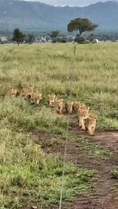 31K reactions · 703 shares | Tanzania is truly all-in-one destination...