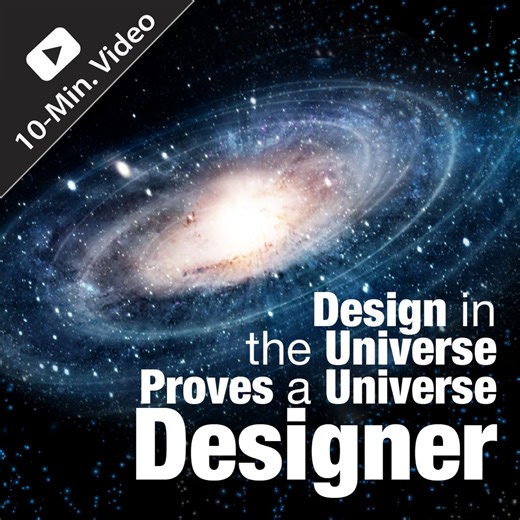 If the Universe has reasonable evidence of having been designed, then it's reasonable to conclude that there exists a Universe Designer! Watch Jeff Miller discuss the subject in 10 minutes. | Apologetics Press