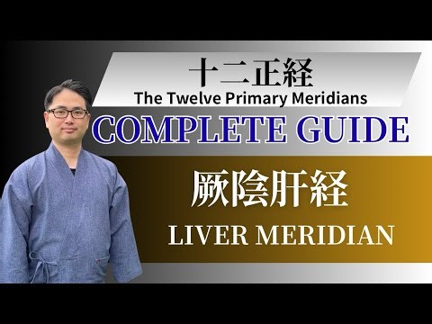 【The Liver Meridian 】The Complete Meridian System Series