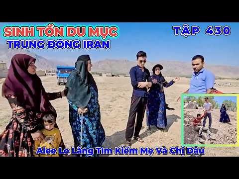 Phần 430: Karim Đến Nhà Alee Vì Chuyện Ilda Đòi Ly Hôn Murad - Alee Tìm Thấy Mẹ Và Chị Dâu Trong Núi