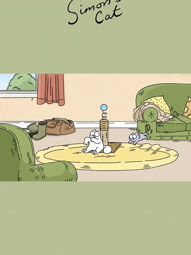 How to Entertain Your Cat and Kitten
