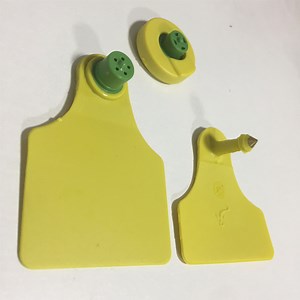 [Hot Item] Long Range Distance RFID Animal Plastic Cattle Cow Ear Tag for Animal ID Tracking