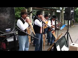 Andean Musicians from Ecuador