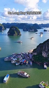 ティトップ島（Đảo Titop）について ティトップ島（Titop島）は、ベトナムの世界遺産・ハロン湾に位置する美しい小さな島です。島は澄んだ海と白い砂浜、そして美しい自然景観で知られており、多くの観光客が訪れる人気スポットです。 この島の名前は、1962年にベトナムのホー・チ・ミン主席とともにこの島を訪れた旧ソ連の宇宙飛行士、ゲルマン・ティトフ（Gherman Titov）にちなんで名付けられました。 ティトップ島では、次のようなアクティビティが楽しめます： 島の頂上まで登ると、ハロン湾の絶景を360度パノラマで楽しむことができます。 透き通った海での水泳やカヤック体験。 美しいビーチでリラックス。 ティトップ島は、ハロン湾クルーズの中でも人気の立ち寄りスポットで、自然の美しさと静けさを満喫するのに最適な場所です。#ハロン湾クルーズランチ #アザットトラベル #ベトナム旅行 #ハノイ市内観光 #ハノイ旅行 #ハノイ #ハノイ旧市街 | Việt Nam Vui Vui