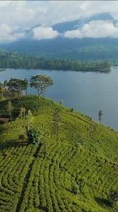 Nuwara Eliya by drone: Sri Lanka’s highland paradise