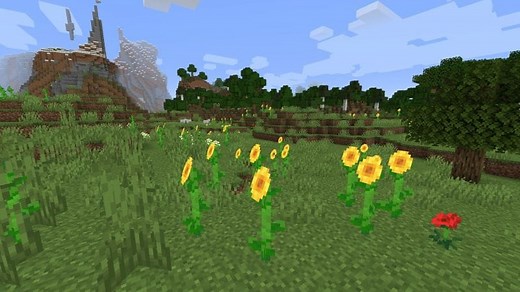 Where to find sunflowers in Minecraft