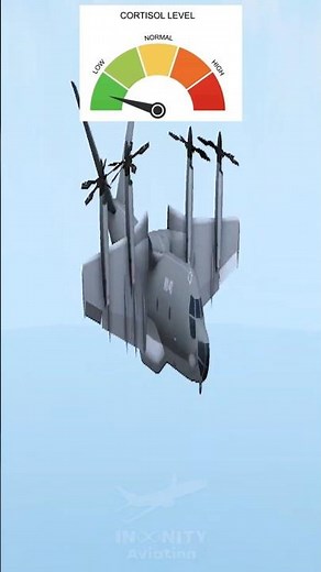 MV-40 HIGH vs LOW CORTISOL - Turboprop Flight Simulator Meme | #TurbopropFlightSimulator #Shorts