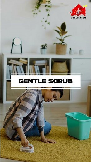 Carpet Looking Rough? 4 Simple Tips to Remove Stains & Keep It Fresh | 365 Cleaners