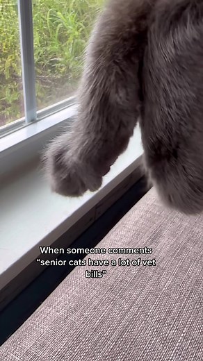 Grandpa Gerry on TikTok