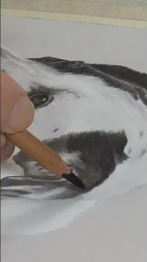 How To Build Realistic Dog Fur Step By Step