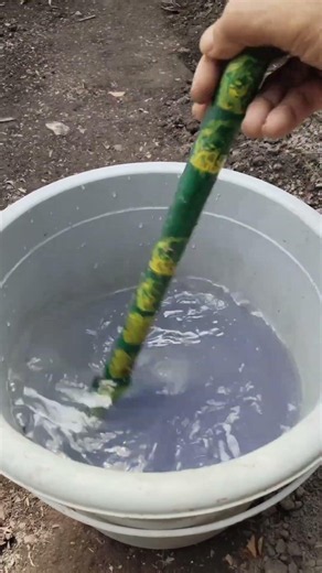 Hama kelapa ini bakal musnah dengan cara ini 🐛🪲✨