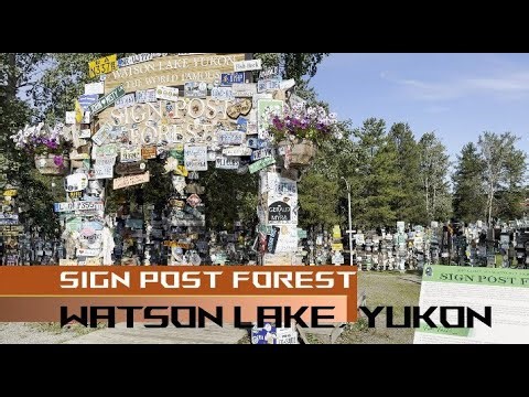 This Forest Has Almost 100,000 Signs! | Sign Post Forest, Watson Lake, Yukon Canada